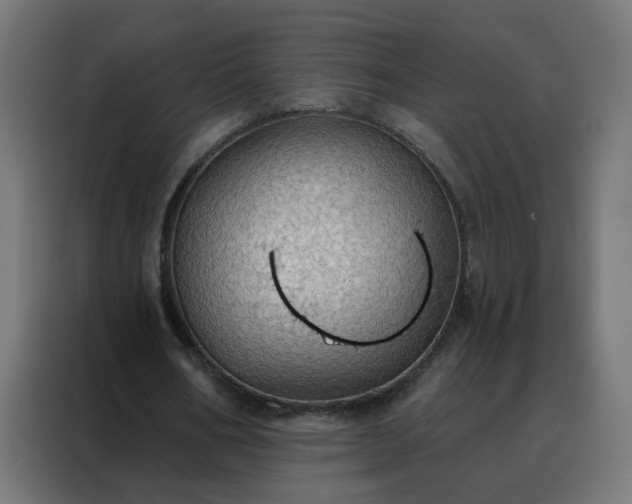 X0000088180578200705221644