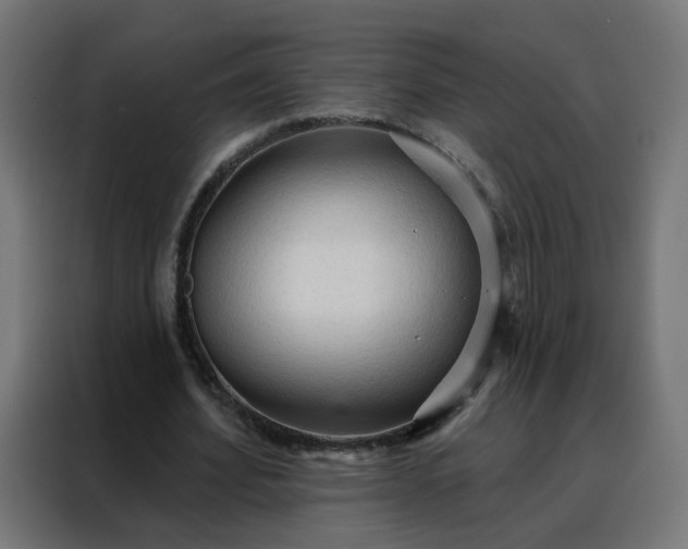 X0000088180580200705221644
