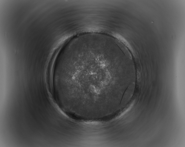 X0000088180581200705221644