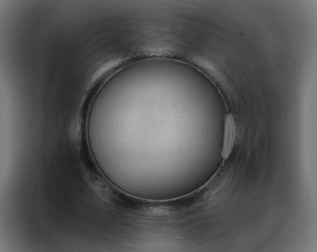 X0000088180583200705221644