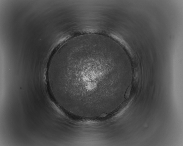 X0000088180585200705221644