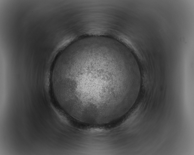 X0000088180586200705221644