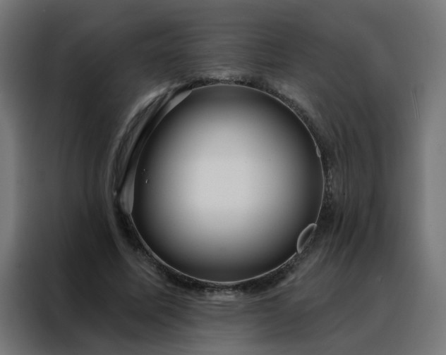 X0000088180587200705221644