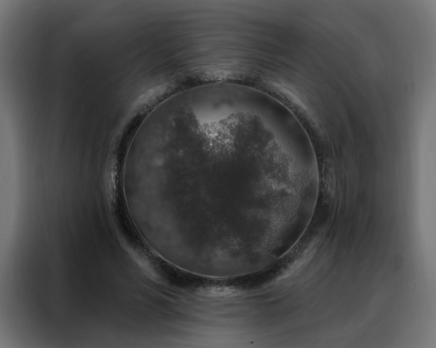 X0000088180590200705221644
