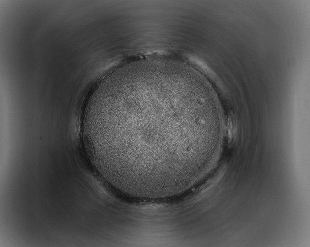 X0000088180593200705221644