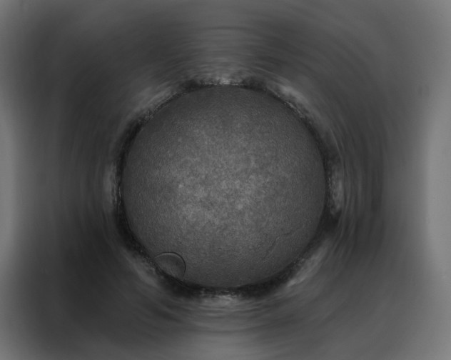 X0000088180594200705221644