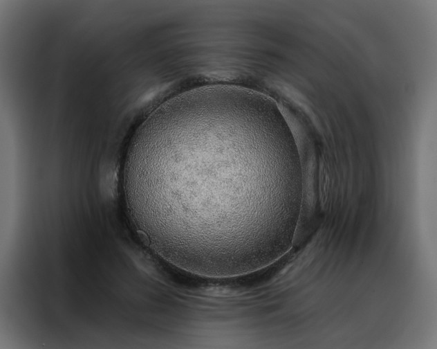 X0000088180596200705221644