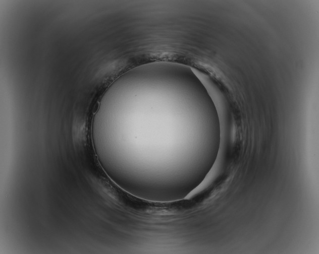 X0000088180597200705221644