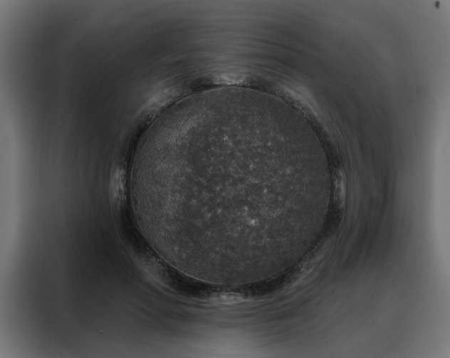 X0000088180598200705221644