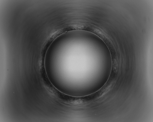 X0000088180600200705221644