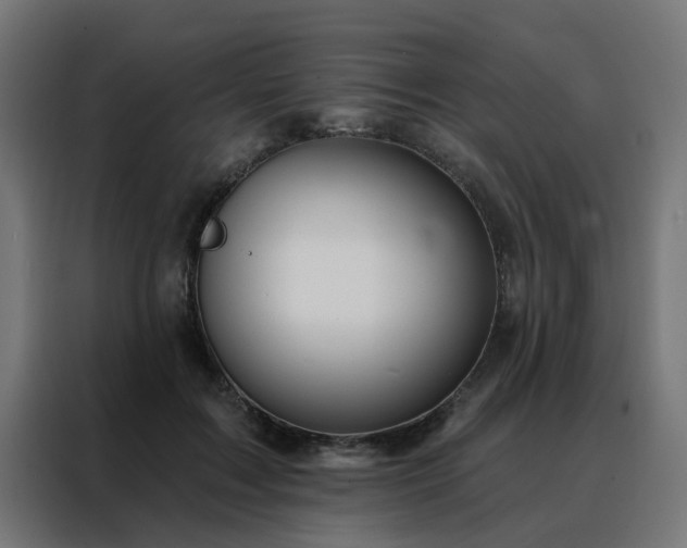 X0000088180603200705221644