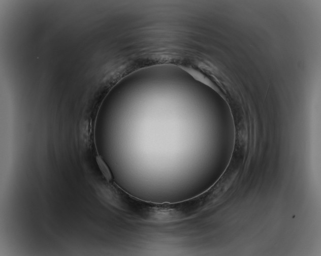 X0000088180605200705221644