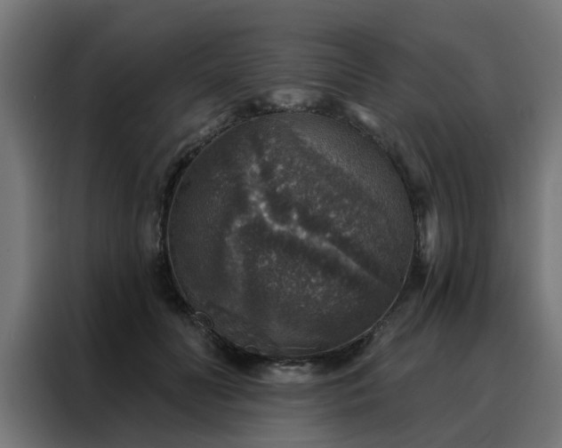 X0000088180606200705221644