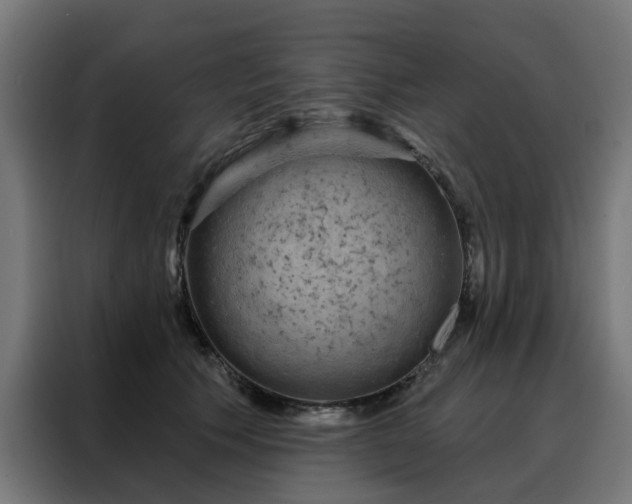 X0000088180609200705221644