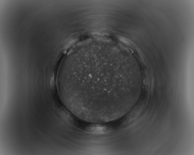 X0000088180610200705221644