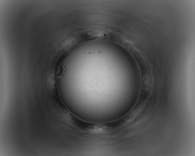 X0000088180612200705221643