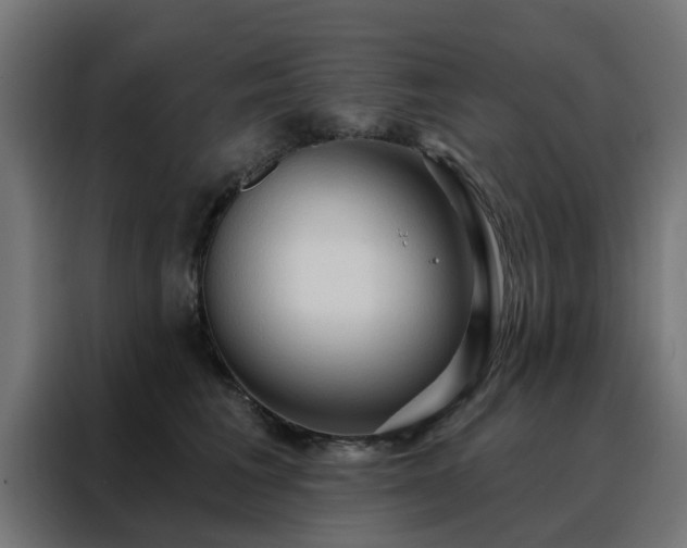 X0000088180613200705221643