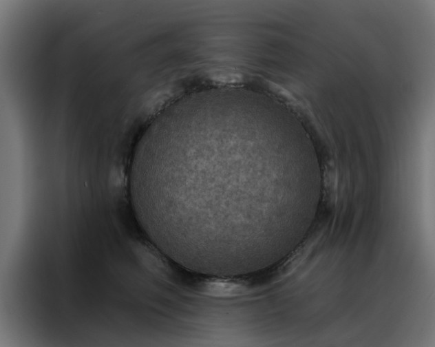 X0000088180614200705221643