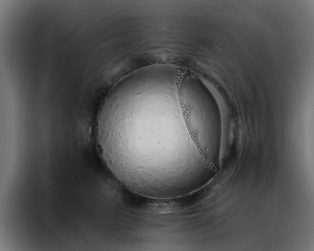 X0000088180615200705221643