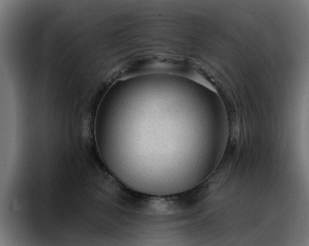 X0000088180616200705221643