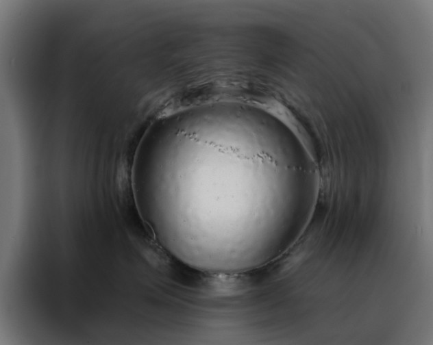 X0000088180623200705221643