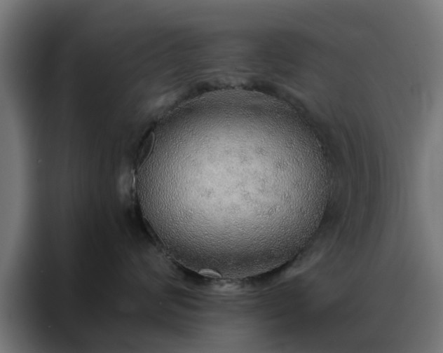 X0000088180624200705221643