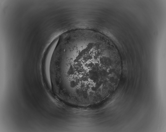X0000088180626200705221643