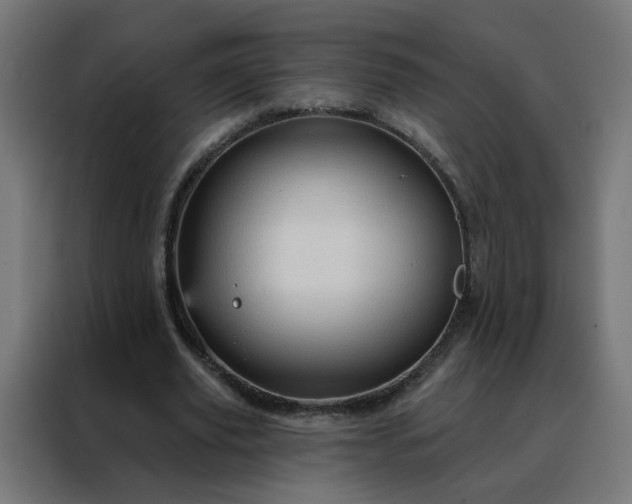 X0000088180629200705221643
