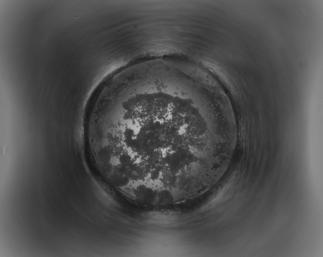 X0000088180630200705221643