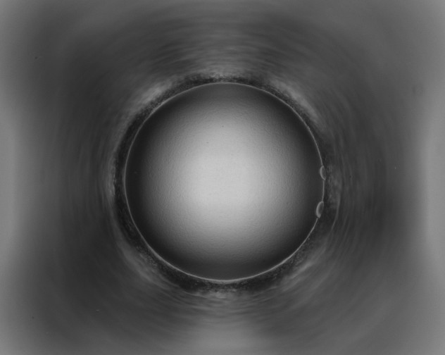 X0000088180631200705221643