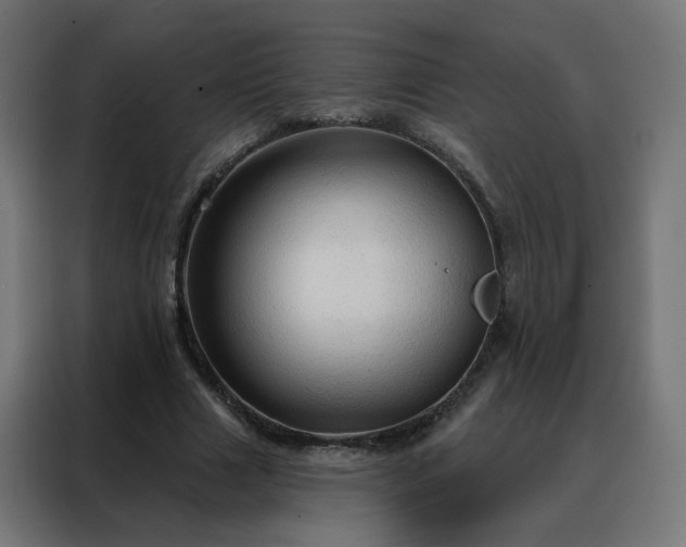 X0000088180633200705221643
