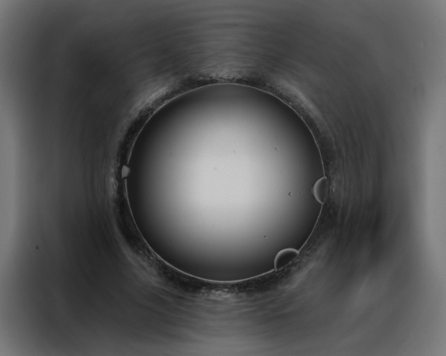 X0000088180635200705221643