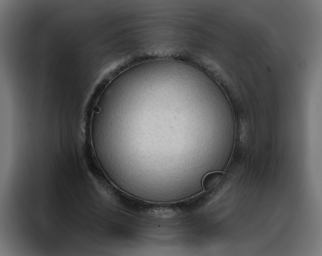 X0000088180636200705221643