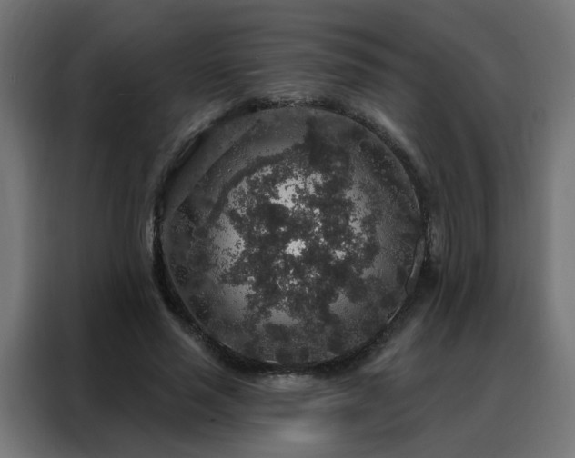 X0000088180637200705221643