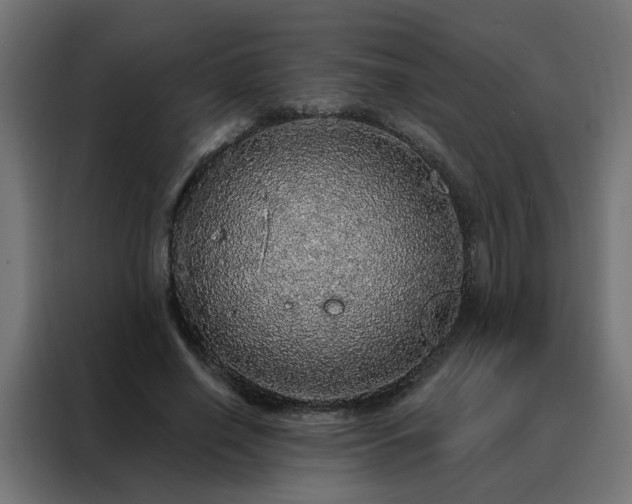 X0000088180638200705221643