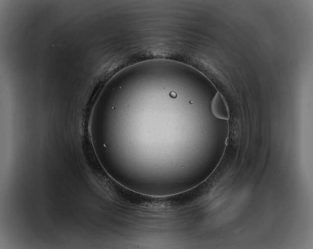 X0000088180639200705221643