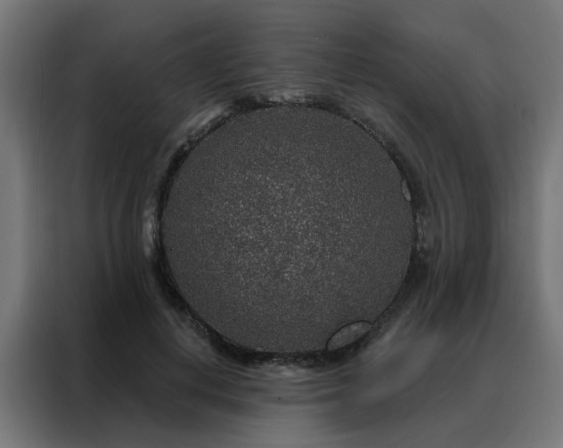 X0000088180648200705221643