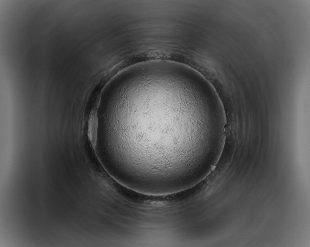 X0000088180649200705221643