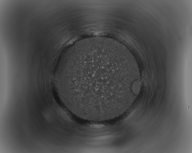 X0000088180650200705221643