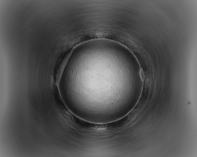 X0000088180651200705221643