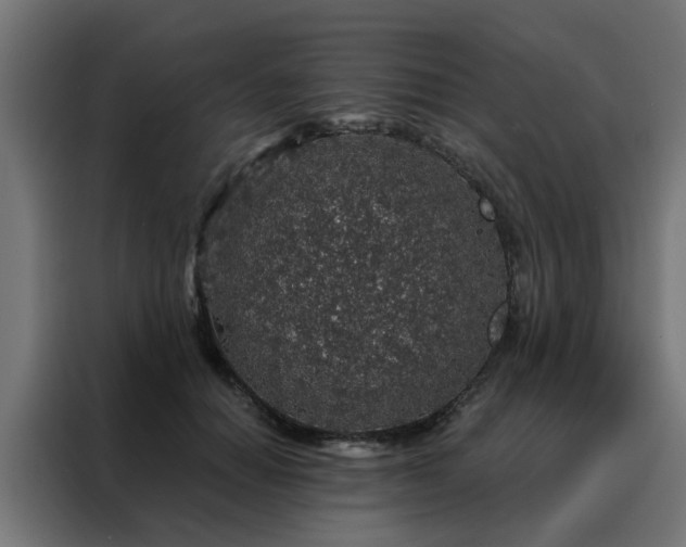 X0000088180654200705221643