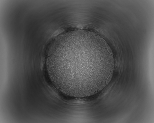 X0000088180656200705221643