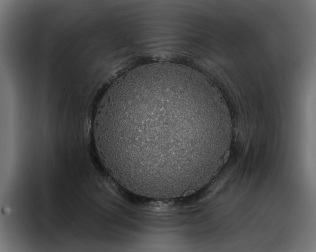 X0000088180660200705221643