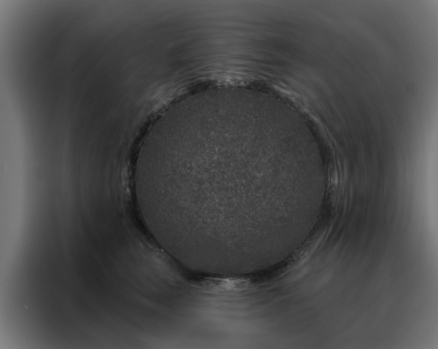 X0000088180663200705221643