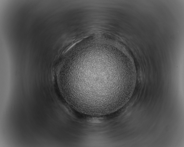 X0000088180664200705221643
