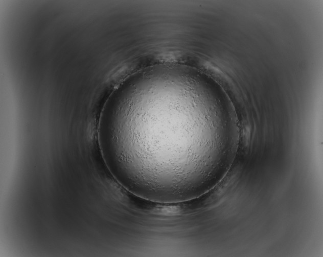 X0000088180665200705221643