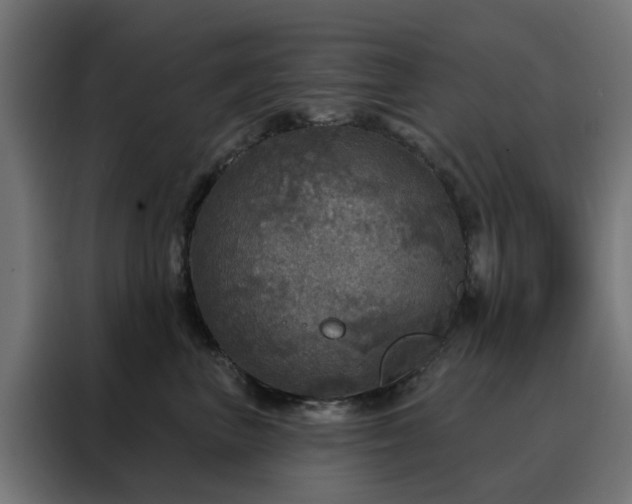 X0000088180667200705221643