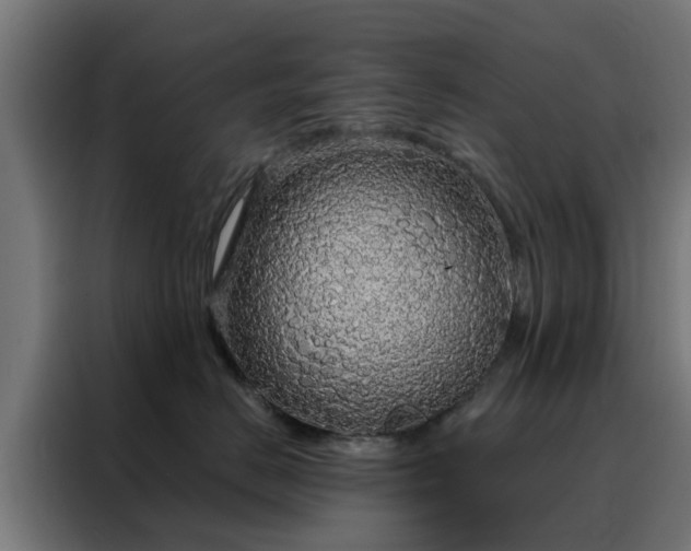 X0000088180670200705221643