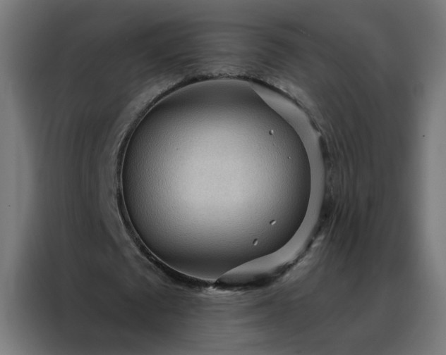 X0000088180673200705221643