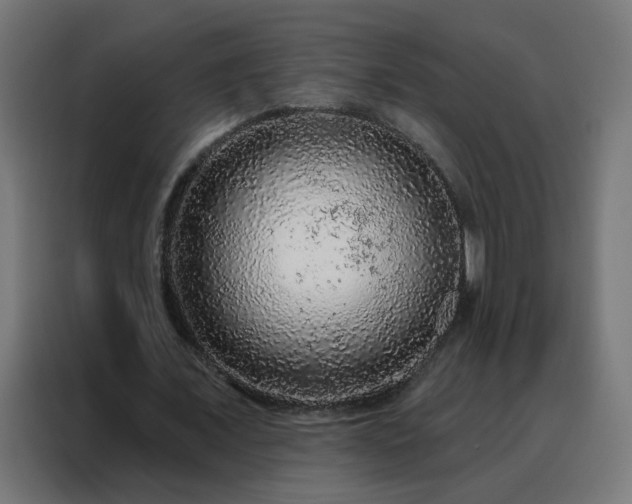 X0000088180675200705221643